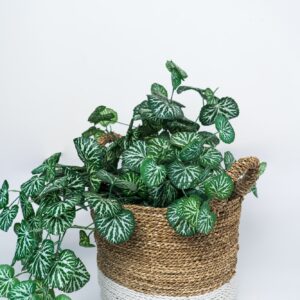 CANASTA DECORATIVA GRANDE